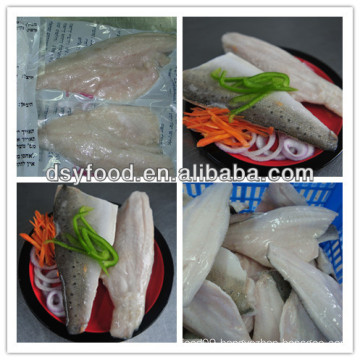 Frozen Sea bass fillet